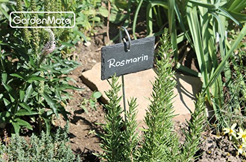 Gardenmate 5-Pack Natural Style Slate Plant Labels (4"X 2 3/4") Hanging From A Stainless Steel Metal Rod (17") #TOP4