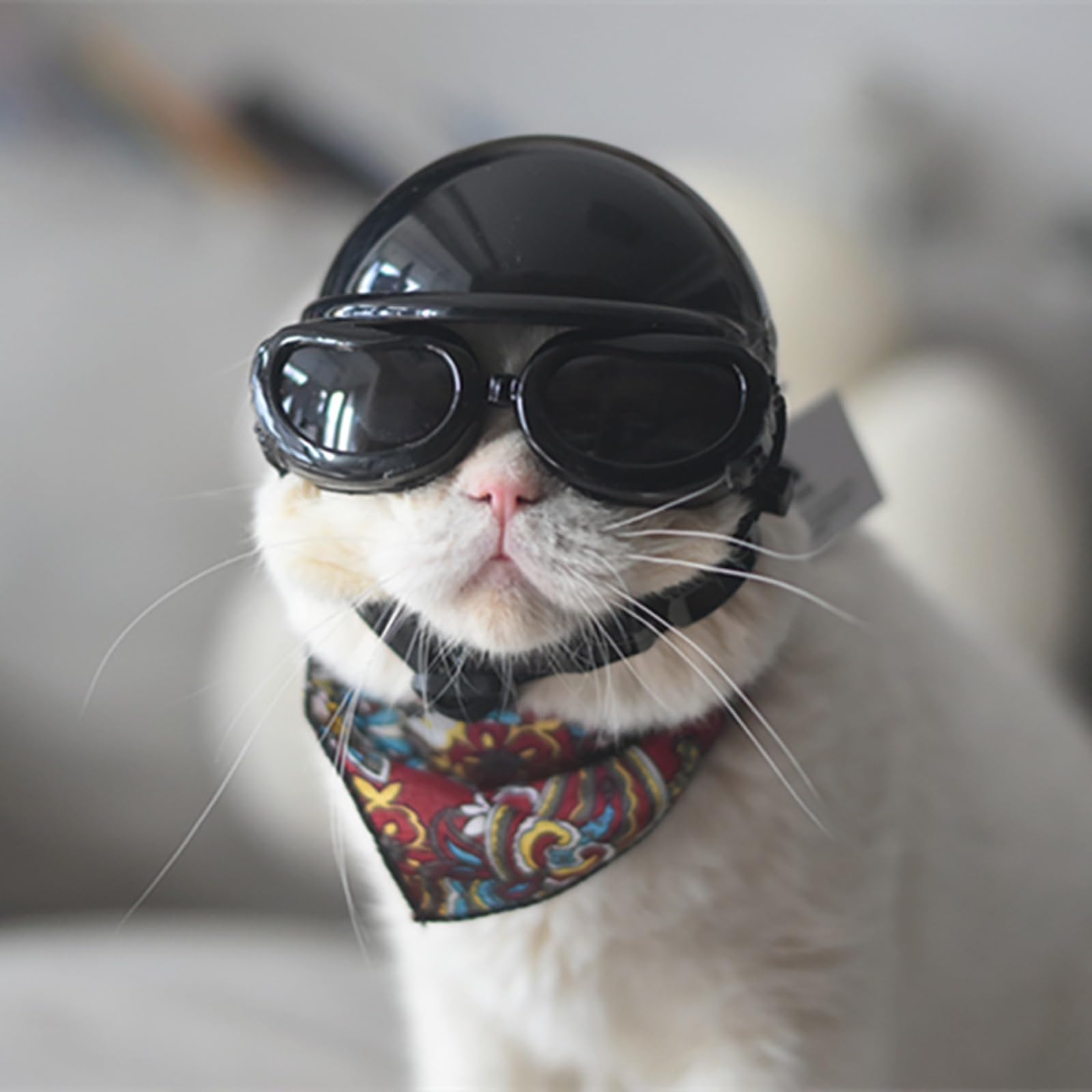 Small Pet Dog/Cat Helmet and Goggles for Small Dogs