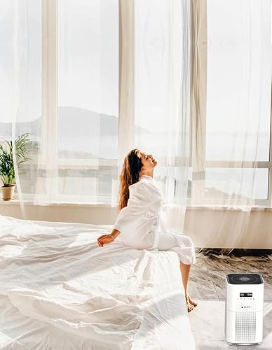 Miniatura 7 de Dayette Purificadores de aire de 3000 pies cuadrados para habitación grande del hogar, filtro Hepa H13 Ture para alergias, mascotas, moho de caspa,