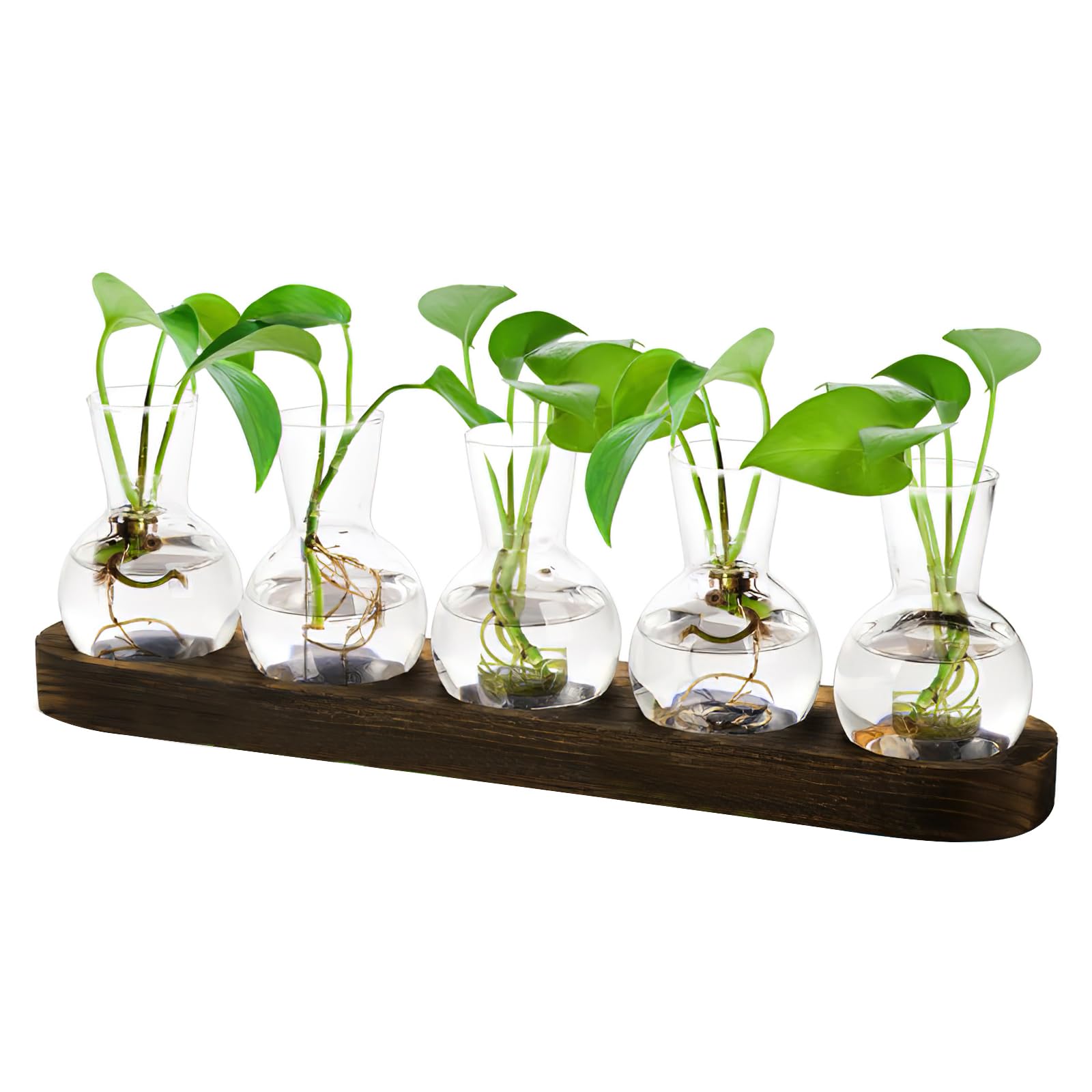 Stations de Propagation de Plantes avec Support en Bois, Lot de 5 Pots de Fleurs en Verre, Terrarium en Verre pour Plantes hydroponiques, Cadeau de Maman pour la Maison et Le Bureau