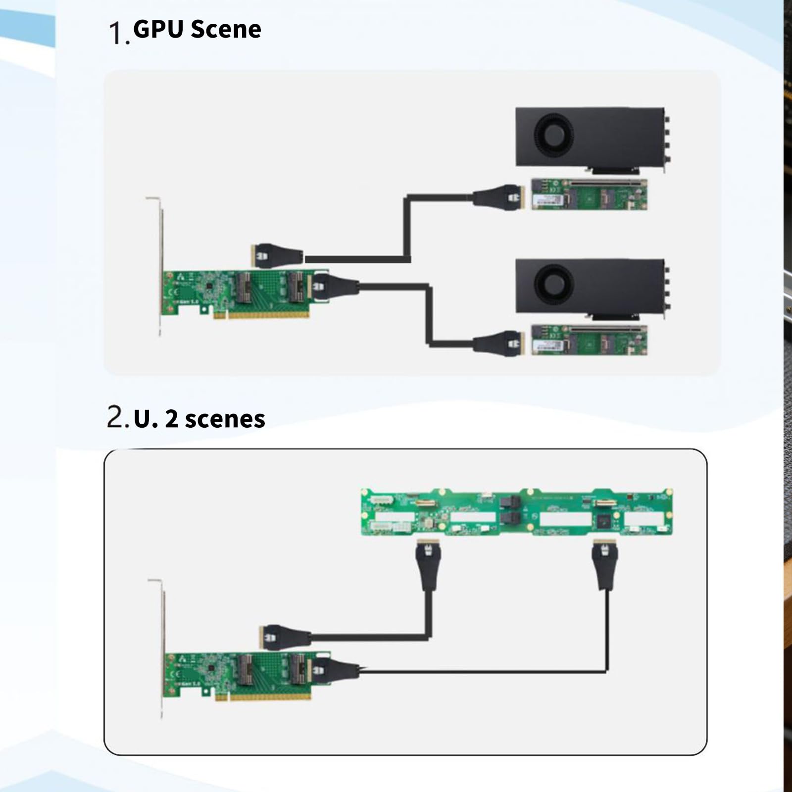 Scheda Adattatore PCIE a 74 Pin per l ' espansione dello Spazio archiviazione ' unità con Adattatore Rete Host dal Design Stabile del modulo Alimentazione