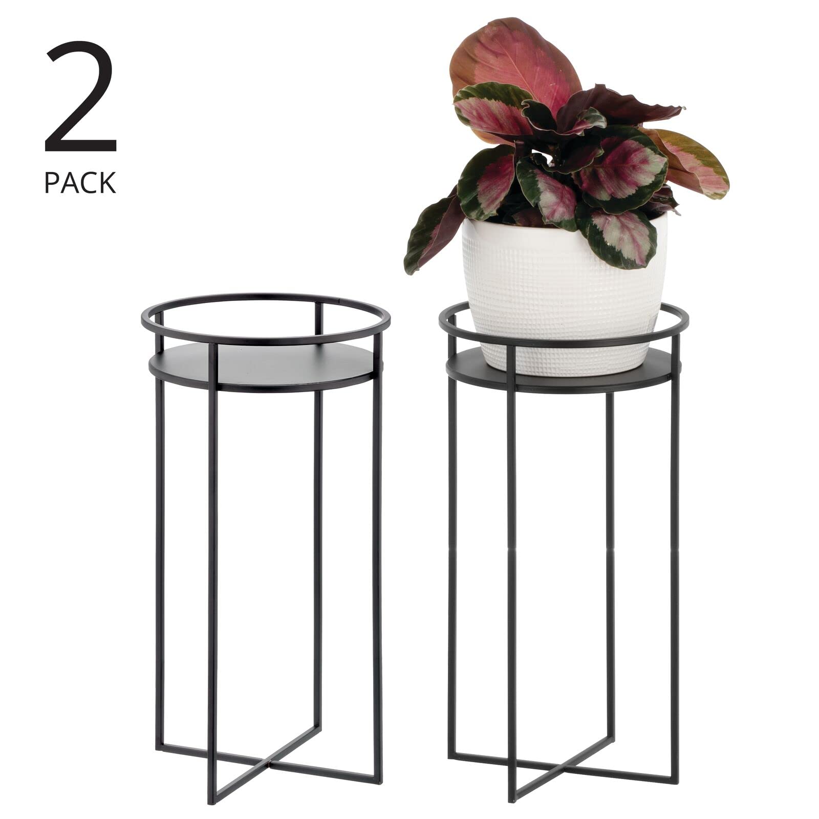 https://m.media-amazon.com/images/I/61t8Uvw3lxL.jpg
