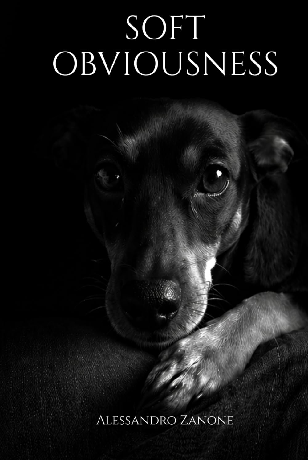 Soft Obviousness: A memoir about absence and what remains