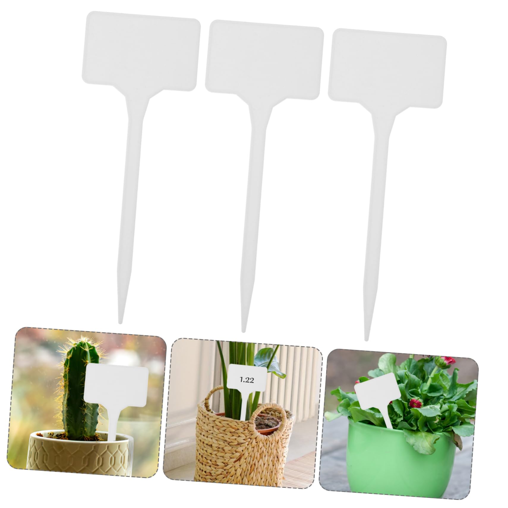 Abaodam 150pezzi Etichette Per Piante Plastica Per Giardinaggio Per Identificare e Decorare Piante Vasi e Aiuole Facili Da Scrivere e Inserire Per Uso Ed Esterno