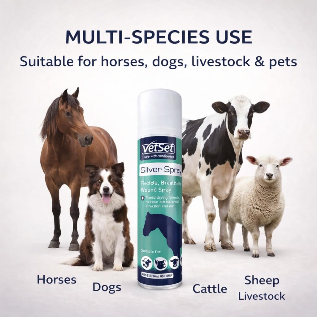 VetSet Silver Aluminium Spray for Animal Wounds | Veterinary Antiseptic Silver Spray for Horses, Dogs, Livestock & Equine Use | Breathable Protective Coating for External Wounds & Abrasions, 250ml — view 6