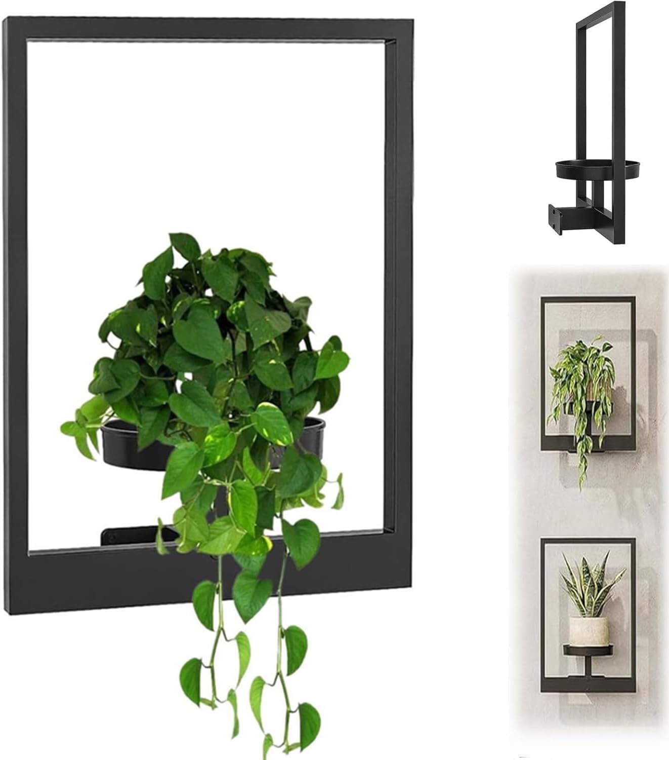 Modern Picture Frame Wall Plant Holder for Indoor Plants
