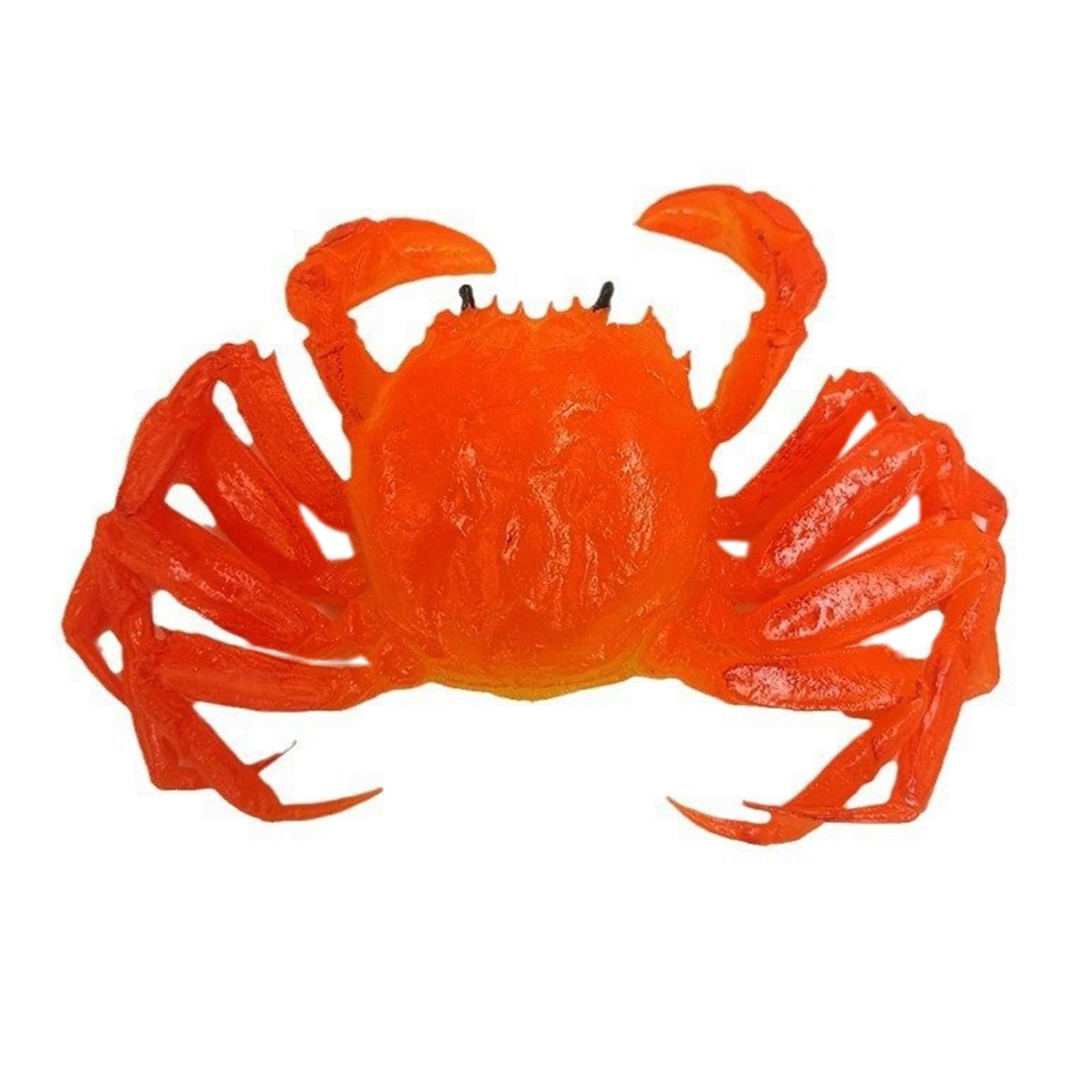 Jazuaiao Realistic Simulation Seafood Model Artificial Seafood Ornament Realistic for Kitchen Display and Homes Staging Faux