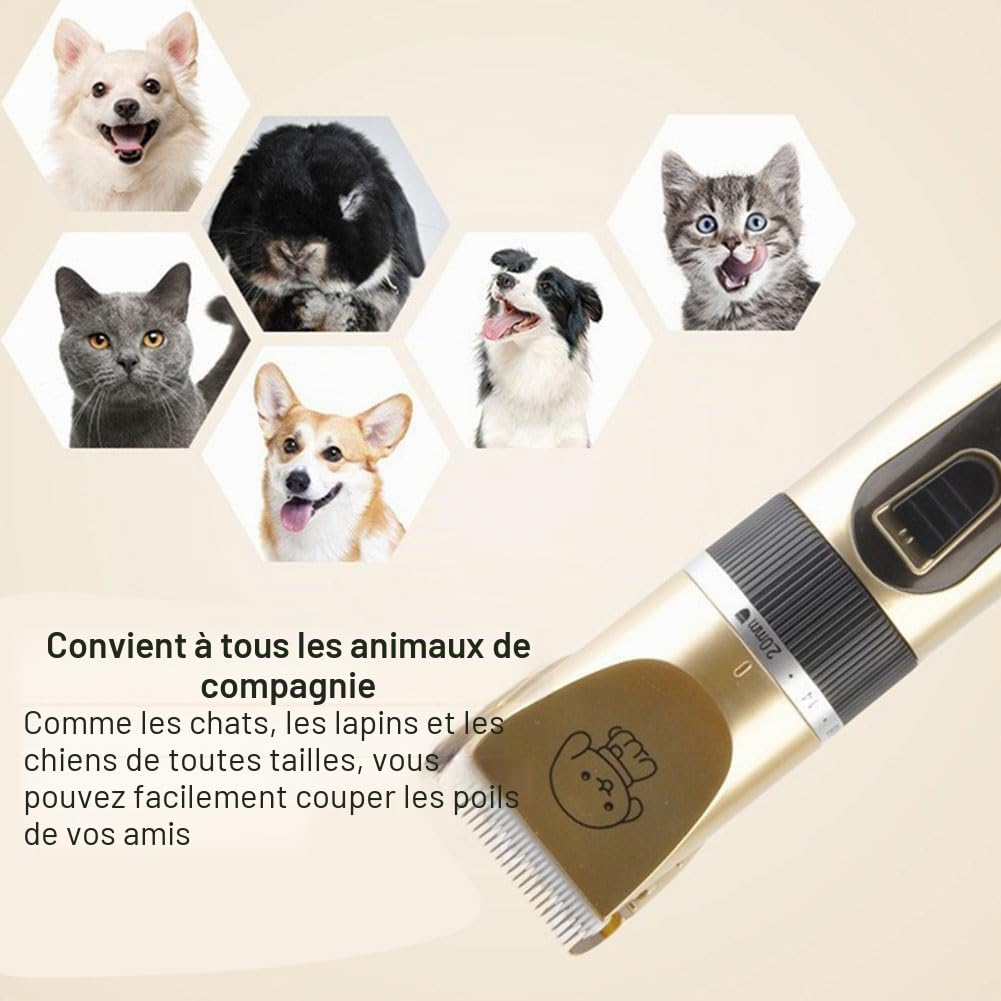 Tondeuse Chien Professionnelle Poil Long Epais Tondeuse Electrique Tondeuse pour Chien et Chats Rechargeable Tondeuse Sans Fil pour Animaux de Compagnie