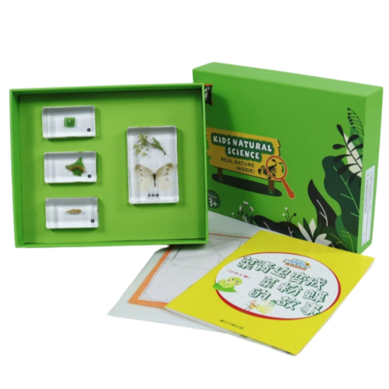 Perfeclan Especimen Educativo Infantil Kit de Bloques de Resina con Bandeja Incluye Fichas y Hojas de Estudio Organizador con, Style to 5