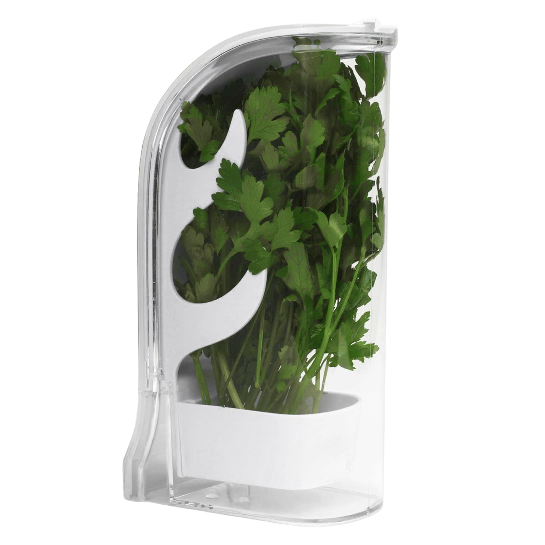Sjfbebsy Herb Saver 5x3.2x10 inch Clear Plastic Herb Keeper for Cilantro Mint Parsley Asparagus, Keeps Greens Fresh for 2-3 Weeks, Cilantro Container for Fridge
