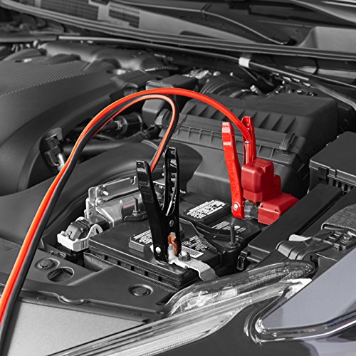 Image of amazon basics Jumper Cable 8 Gauge, 16 Feet