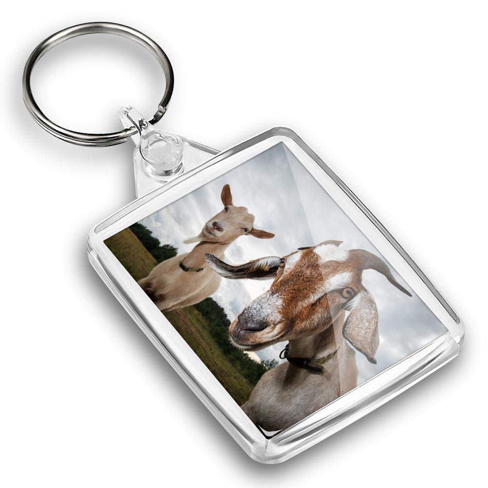Destination Vinyl Ltd 1 x Photo Keyring - ny Pair of Goats Goat |Keychain|Keyring|Charm| #45106