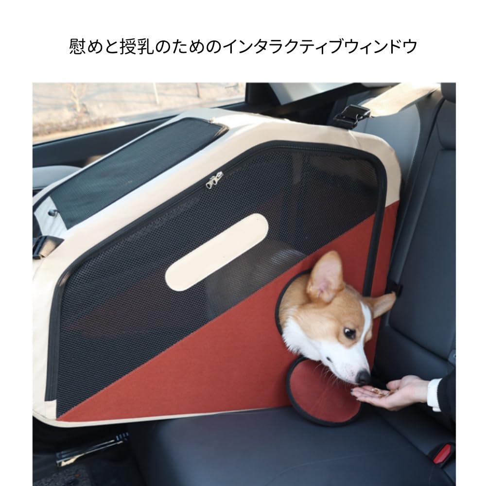 Amazon.co.jp: ZXMソフトクレート 小型犬/中型犬兼用 折りたたみ