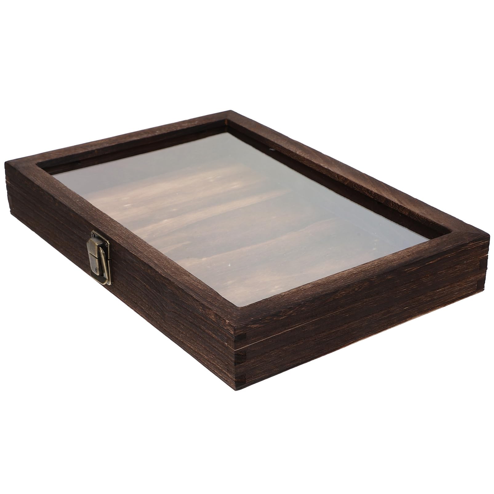 DEARMAMY 1pc Box Specimen Display Box Pin Display Case Plant Specimen Display Case Shadow Boxes Display Cases Jersey Frame Display Case Insect Display Case Specimen Drawer Acrylic Coffee
