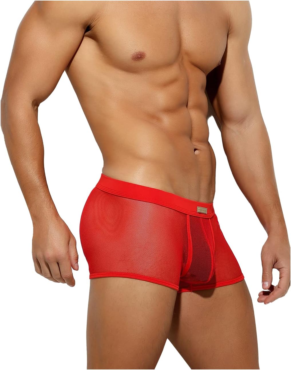 Arjen Kroos Men Sexy Mesh Boxer Briefs Low Rise Stretch Breathable Underwear Boxer