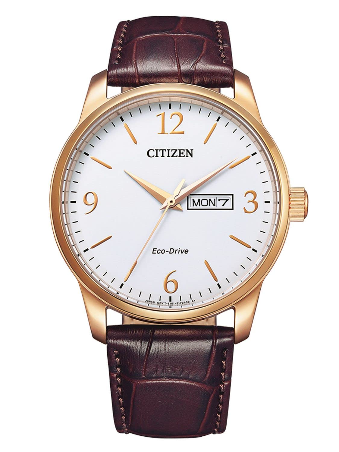 Citizen Men's Analogue Eco-Drive Watch Brown