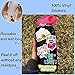DETICKERS Teacher & Student Stickers - Science & Math for Laptops, Scrapbooks & Classrooms