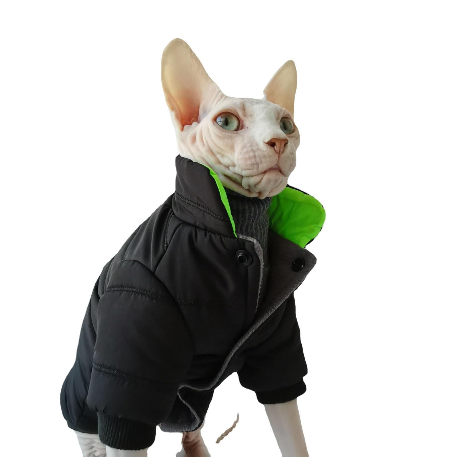 Manteau chaud pour chat Sphynx veste coupe-vent en coton doux