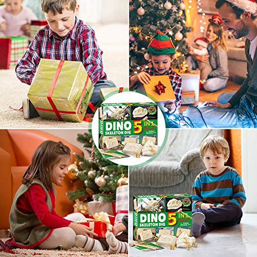 Zwini Dinosaur Dig Kit 5 in 1 fossili di Dinosauro...