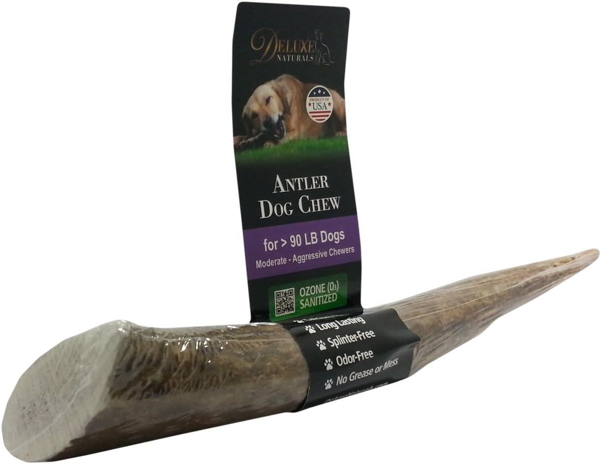 Whole Elk Antler Chew, X-Large