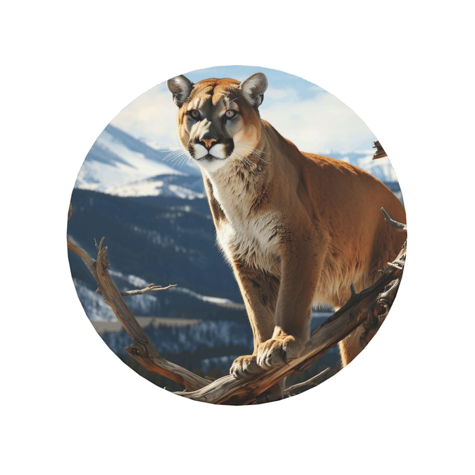 Fodpand Round Shape Panther Mountain Lion Fridge Magnets, Strong Small Refrigerator Magnets Decorative Magnets For Kitchen Fridge Office Locker - Funny Magnetic Stickers Birthday Gifts