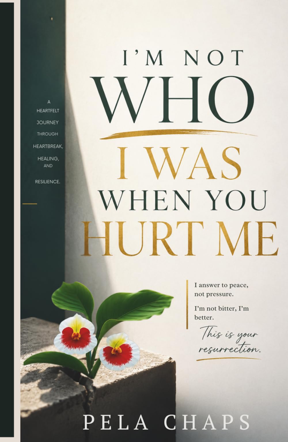 I’M NOT WHO I WAS WHEN YOU HURT ME