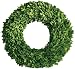Mills Floral Company Boxwood Round Wreath, Single Side 16"