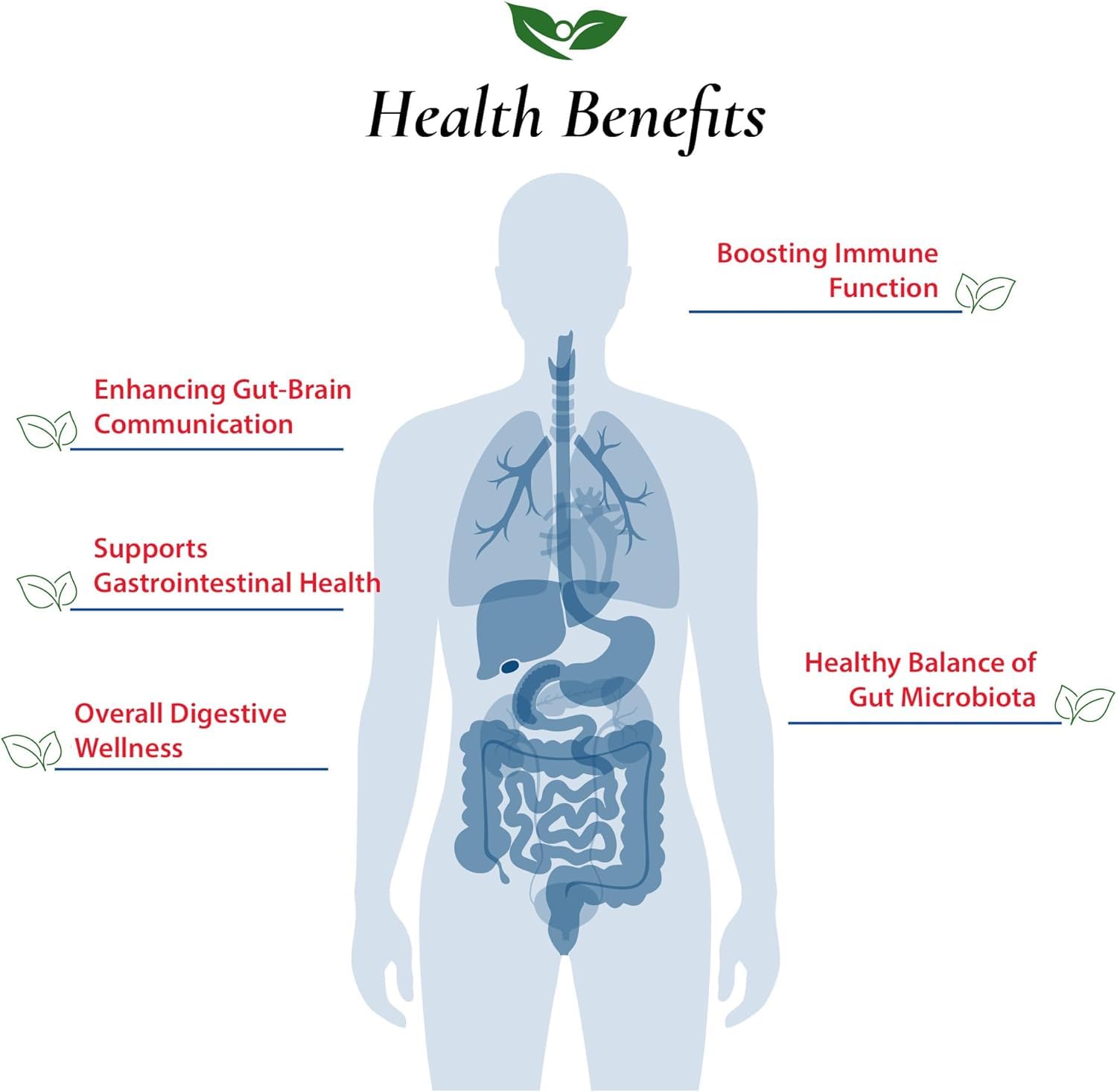 Foods For Gut Bifidobacterium Bifidum Probiotic Powder 100 Billion cfu's | Made in USA | No Additives | Digestive & Immune Support | High Potency | B. Bifidum | 30 Grams (1.05 Oz)