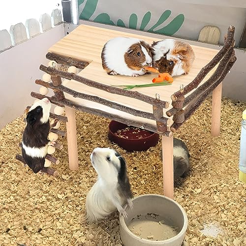 Kit plateforme d'escalade hamster en bois pour éviter l'ennui en cage - 4