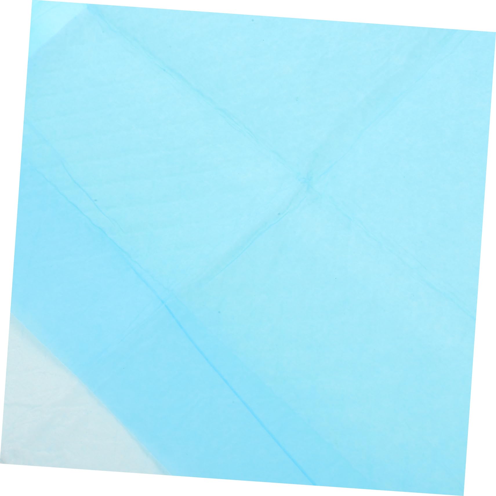Beavorty 40pezzi Tappetini Assorbenti Per Traversine Igieniche Super Assorbenti e Impermeabili Per Addestramento e