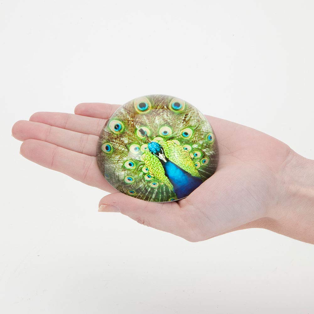 ペーパーウェイト！ ガラスアート 楽天市場】「虹のリンゴ 大」ペーパーウェイト・ガラス製文房具雑貨