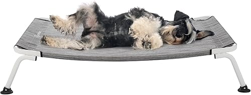 Veehoo Cama elevada curvada y refrescante para perros, marco blanco, cuna elevada para exteriores, cama para mascotas a prueba de mordidas con malla