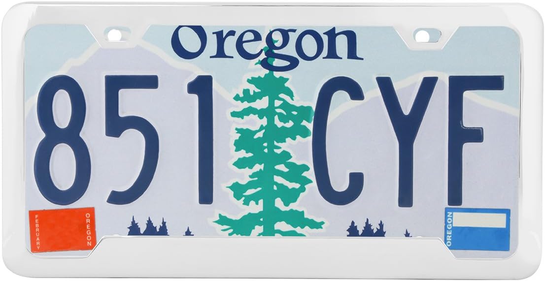 Grand General 60409 Stainless Steel License Plate Frame with 2 Holes and Bottom Center Raised