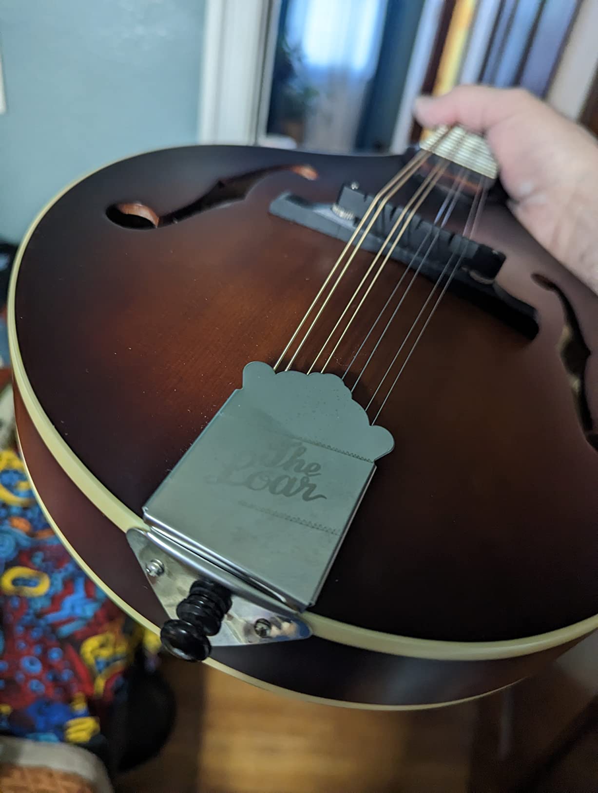 Waverly Mandolin Endpin, Ebony with Pearl Dot Musical