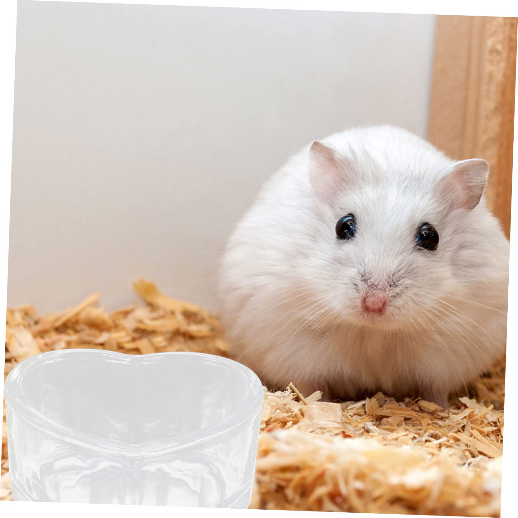 Supvox 8 STK Futternapf für Hamster Rattenvorräte Wassernapf für Hamster Kleintier Zubehör hamsterzubehör welpen zubehör kleine Chinchillaschale Rattenzubehör Glas Transparent