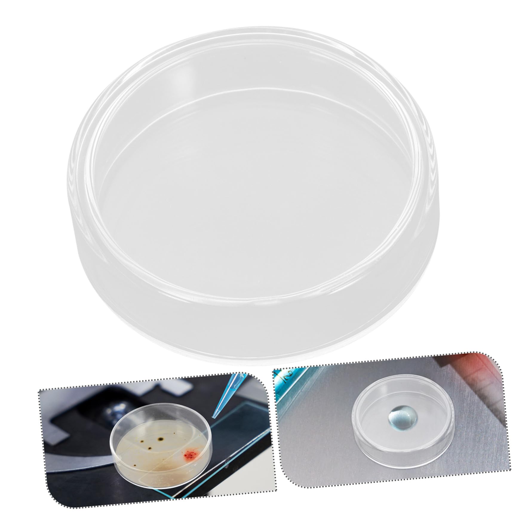 IMIKEYA 10 Stück Teiliges Sterile Glas petrischalen mit Deckel und Pipetten für Mikrobiologische Zellkultur Laboranalyse Wissenschaftsschule Pflanzenkultivierung