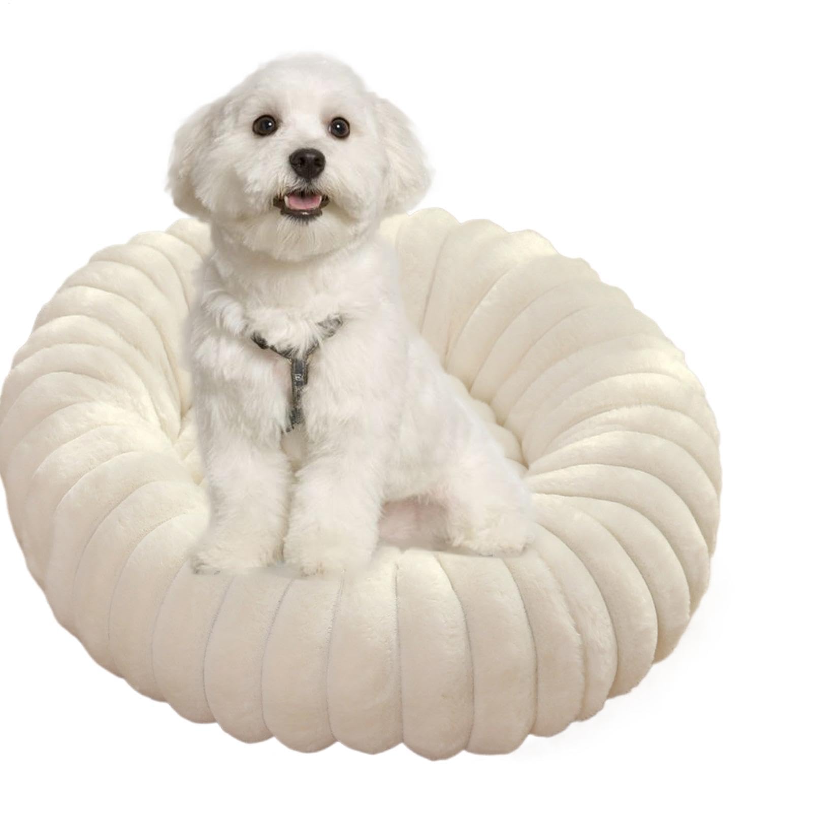 Amazon.co.jp: ドーナツ型犬用ベッド、小型犬用の落ち着く犬用ベッド