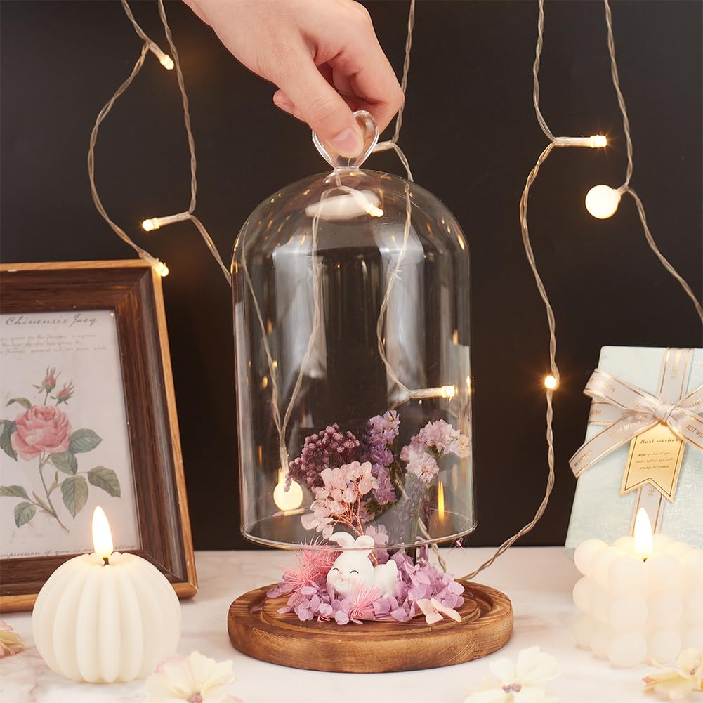 NBEADS Cúpula de Cristal En Forma de Corazón, Terrario de Tarro de Campana Cloche de 22cm de Largo con Base de Madera para Decoración de Escritorio de Velas Aromáticas, Claro