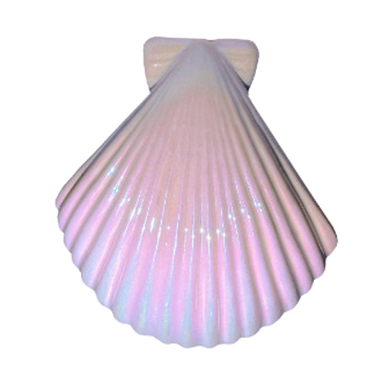 Shell/Conch Shaped Towel Clamps Windproof ABS Clip Practical Leisures Chair Rack Beach Essential Swimming Essential