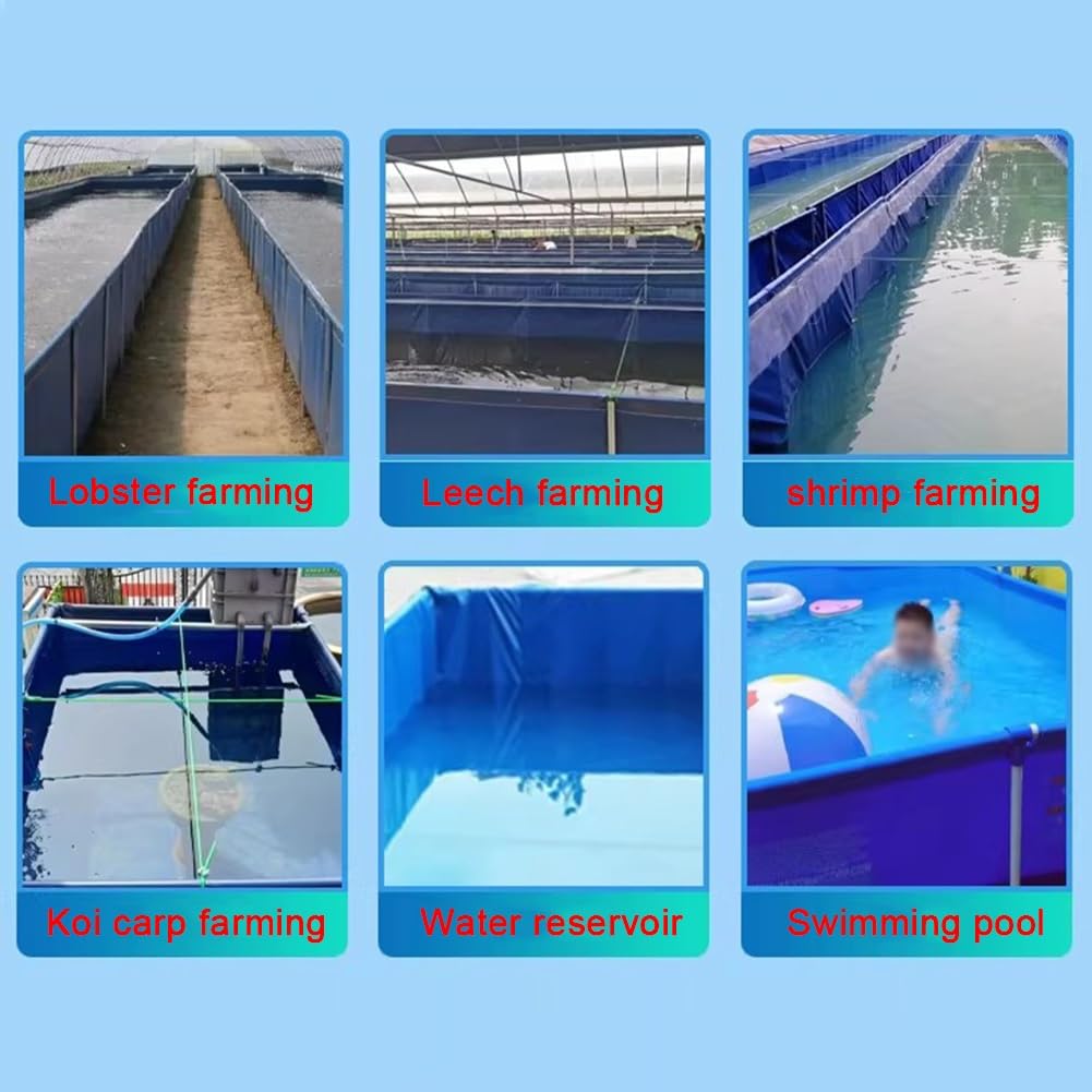 Grand aquarium portable pliable en PVC avec fenêtre transparente et valve de vidange pour une installation et un entretien faciles