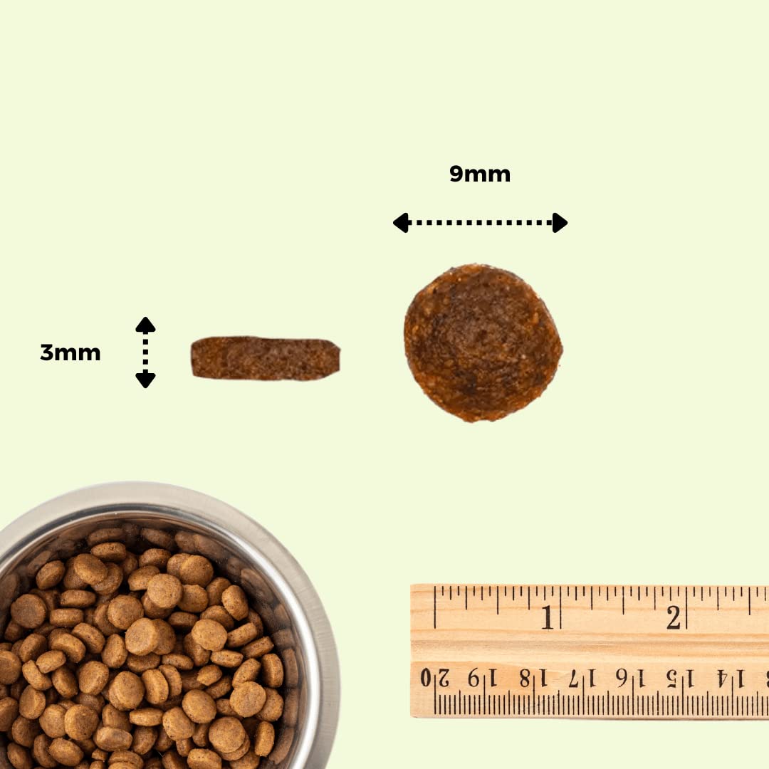 Nourriture Beppo - Nourriture sèche pour chats stérilisés - Croquettes sans céréales de haute qualité : grains libres et sans gluten - Aliment complet - 1,5 kg (saumon au poisson blanc)