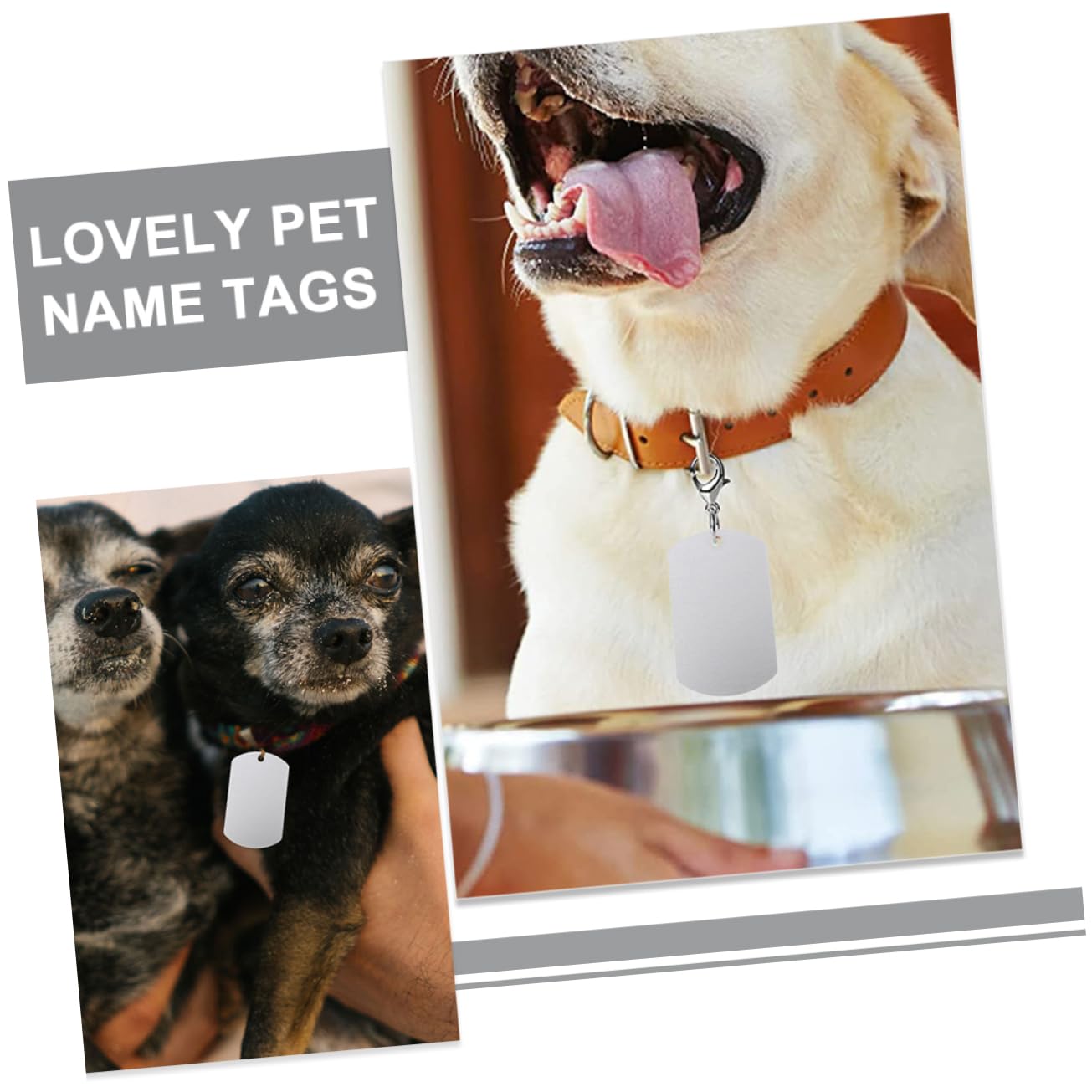 Sosoport 5 Ensembles Étiquette De Taureau en Métal Chiot Étiquette D'identification De Chien Dog Tag Étiquette d'oreille De Bétail Étiquette De Chien Personnalisée Aluminium 25 Pièces * 5