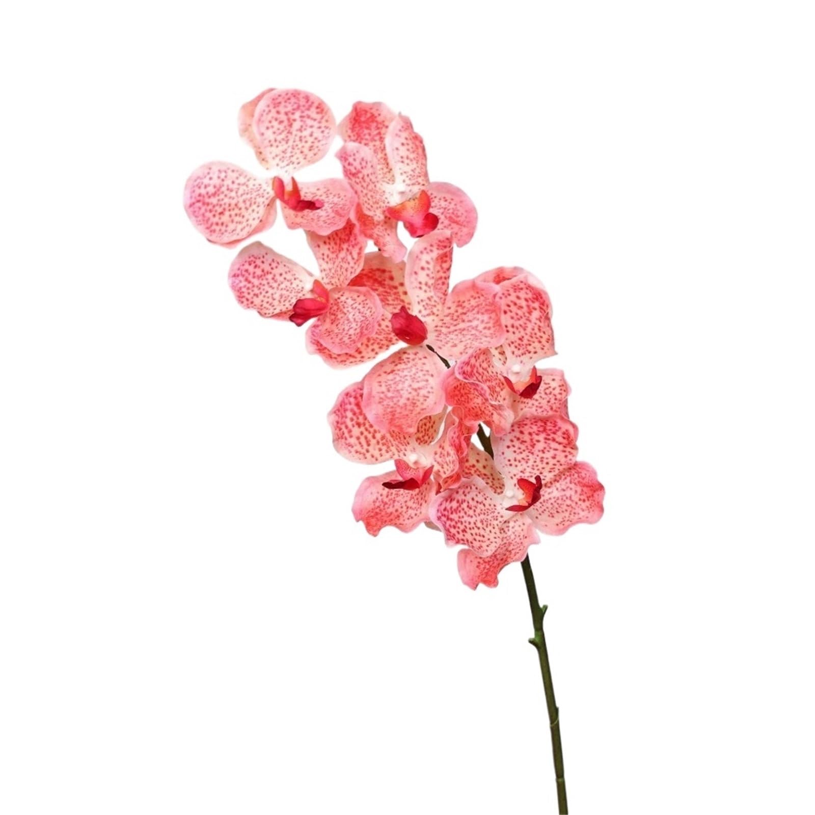 LSYHHXC Artificial Orchid 80 CM Artificial Vanda Orchid Moisturizing Phalaenopsis Branch Large Flower Realistic Real Touch Orchids