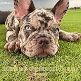 Gone but Not Away (Hearleft Loki Blue)