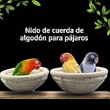 Ver la foto 8