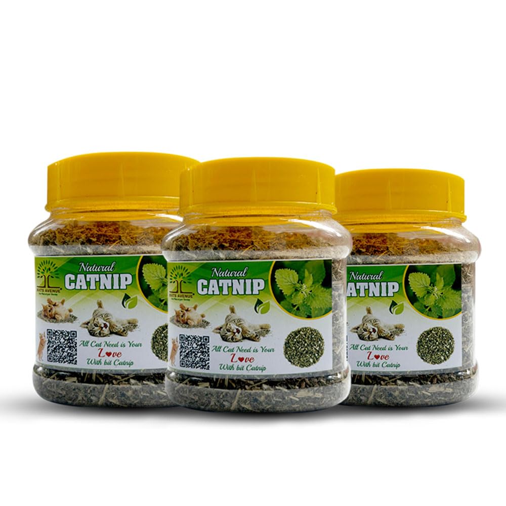 Mats Avenue Pure Original Dried Catnip Himalayan Variety Attractive Mint Fragrance Catnip for Cats Kittens and Persian Cats Jumbo Pack of 200 Ml (Pack of 3) (B0D4ZM43Z9) Amazon Price History, Amazon Price Tracker