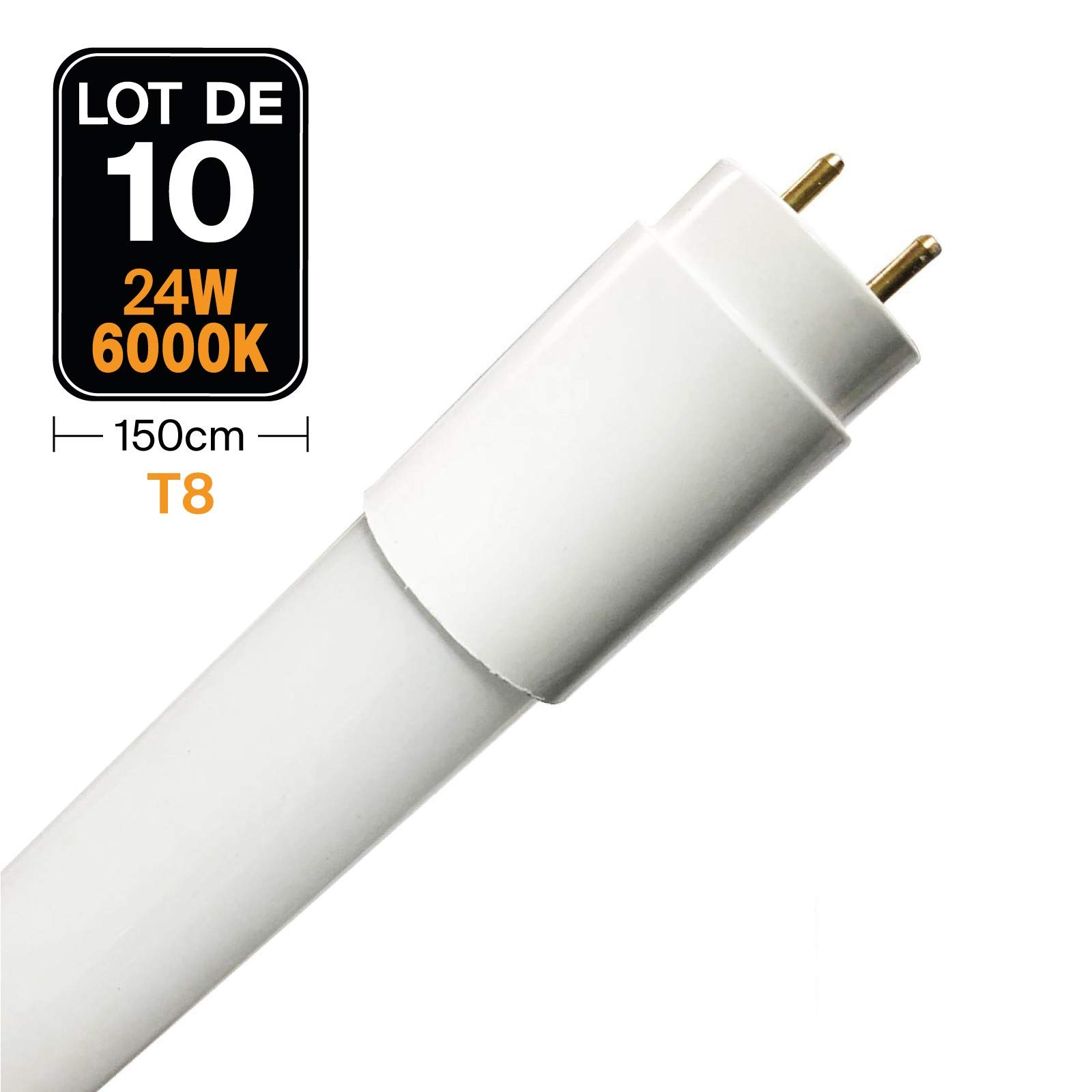 Europalamp – Lote de 10 tubos neón LED 24 W 150 cm T8 blanco frío 6000 K gama Pro