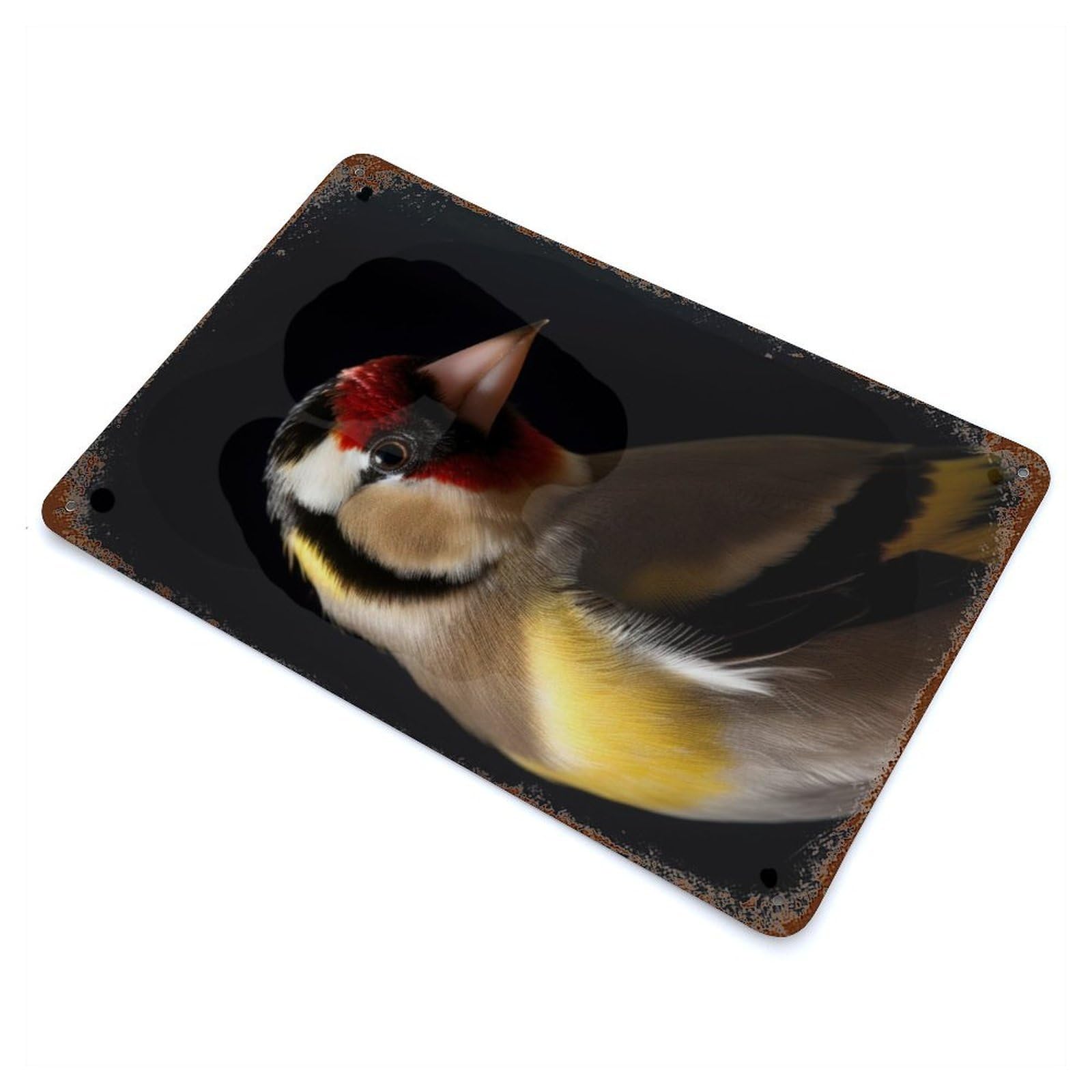 Goldfinch Brid in The Dark Decorative Tin Sign 11.8"x7.9", Ideal for Cafe, Home Bar And Lounge Decor