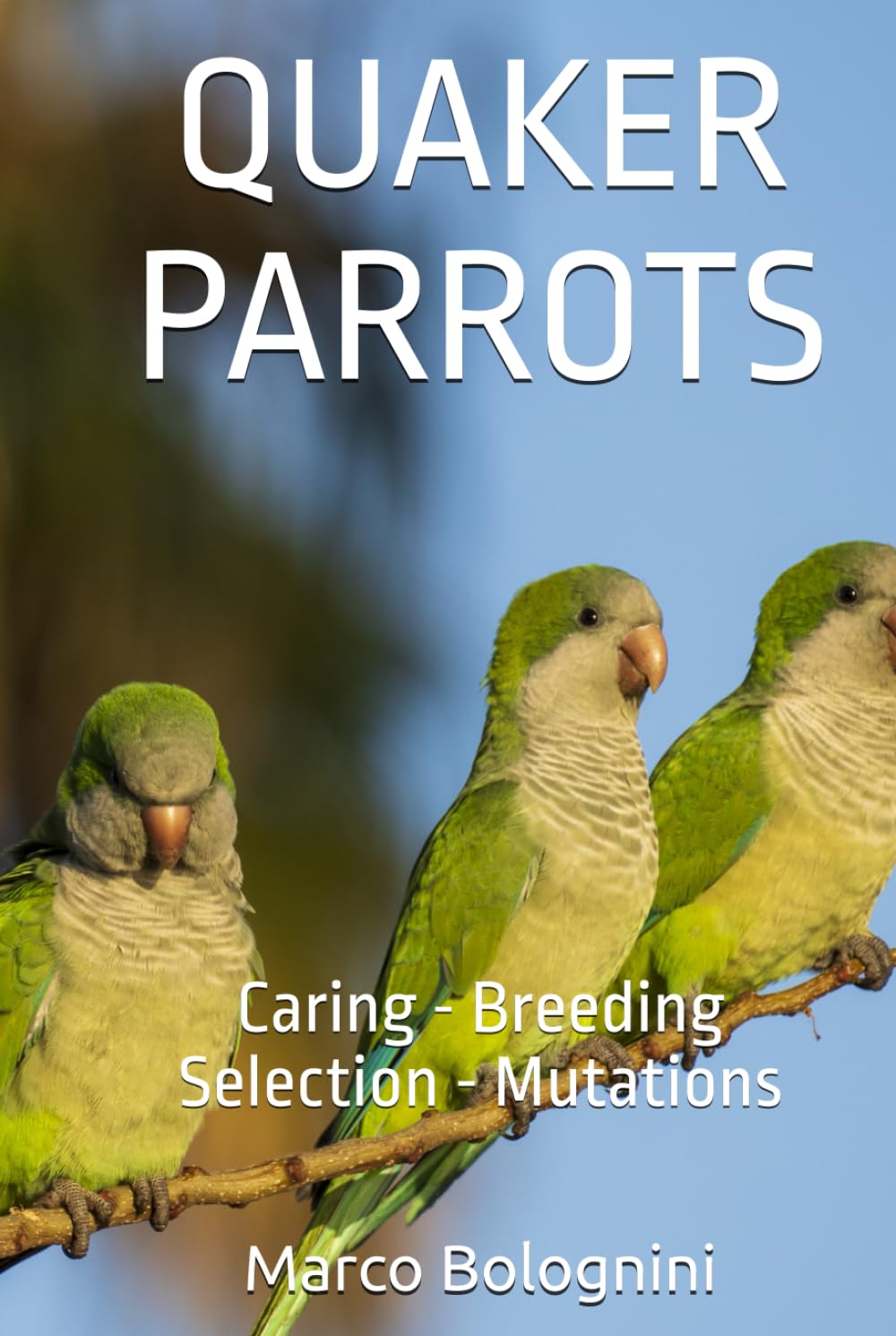 Quaker Parrots: Caring - Breeding - Selection - Mutations