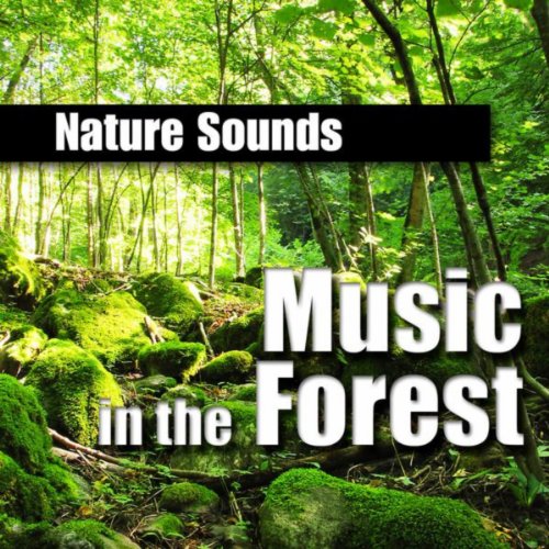 Music in the Forest (Music and Nature Sound) by Nature Sounds on Amazon Music Amazon.co.uk